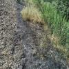 IMG-20200813-WA0002